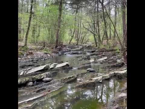 creek along hiking trail