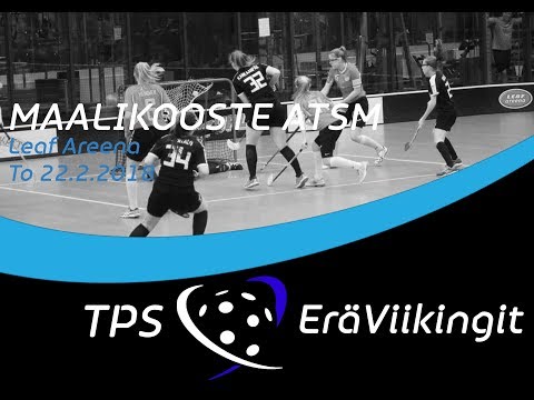 Maalikooste ATSM TPS - EräViikingit 22.2.2018