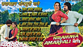 Download lagu #video | Dinesh Lal Yadav & Amrapali Dubey Song 2024 | #dineshlalyadav #amrapalidubey #bhojpurisong mp3 Download lagu #video | Dinesh Lal Yadav & Amrapali Dubey Song 2024 | #dineshlalyadav #amrapalidubey #bhojpurisong mp3