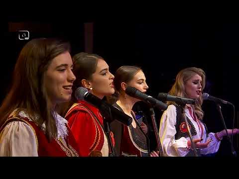 Kosovarja Këndon 2020 - Potpuri - RTV TEMA HD