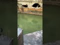 Steam coming off the water of the Roman Baths in Bath