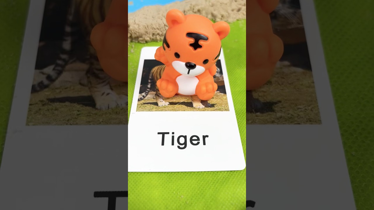 Learn Zoo Animal Names with Flashcards