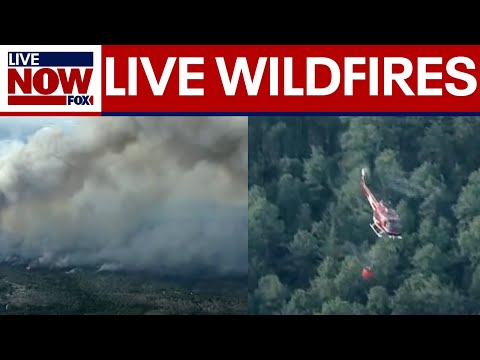Video | SKYFOX: Firefighters battling 'Jones Road' wildfire in south New Jersey