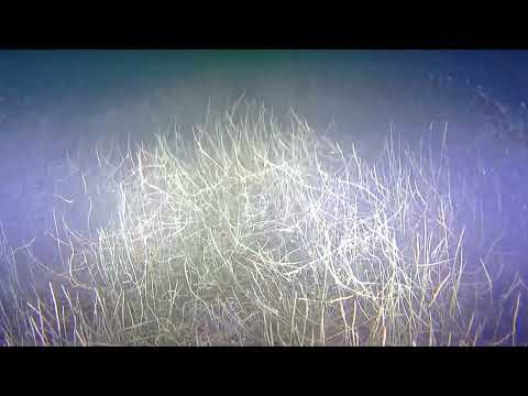 UNTERWASSERDROHNE YOUCAN ROBOT BW SPACE PRO   TESTFAHRT   26 03 2023