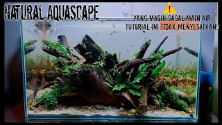 Download lagu make a NATURAL Aquascape with river stones and longwood mp3 Download lagu make a NATURAL Aquascape with river stones and longwood mp3