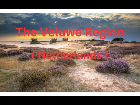 The Veluwe Region (Netherlands)