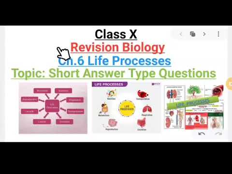 Biology Dynamics Of Life Answers: Detailed Login ...