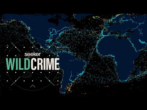人工智能如何從太空追蹤非法捕魚 (How AI is Tracking Illegal Fishing From Space)