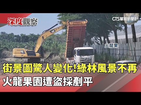 街景圖驚人變化！綠林風景不再　火龍果園遭盜採剷平