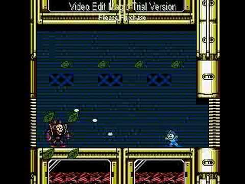 Megaman 3 Woodman PERFECT