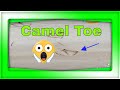 Let Me See The Camel Toe Short Video