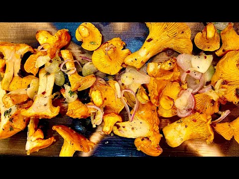 Awesome Recipe for Wild Chanterelle Mushrooms Cooked on a Cedar Plank