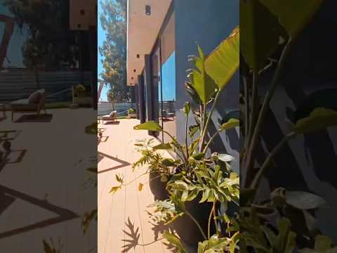 Video de YouTube - Apartamento en Alquiler de 1 dormitorio con Piscina y Garage en Parque Miramar, Canelones