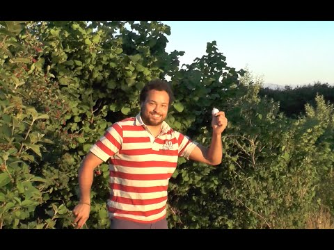 Most important golf rules for the game of golf