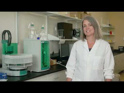 Wexford Pavilion Lab