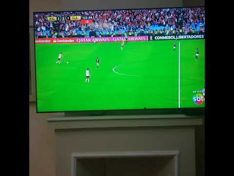 Reação apito final Palmeiras X flamengo - Tricampeão libertadores 2021