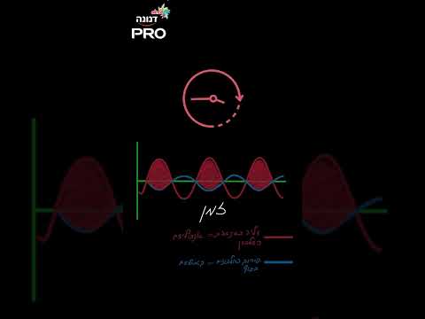 חלבון בדקה + (פרק 7): כל מה שרצית לדעת על חלבונים ולא העזת לשאול!