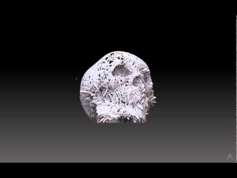 ZBrush  NanoMesh czaszka 1
