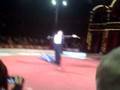 Roncalli Bremen Manege Teil2