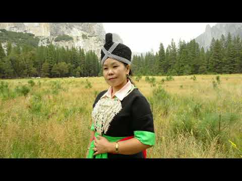 Tsabmim Nco Leej Tub Xytooj Ncuab