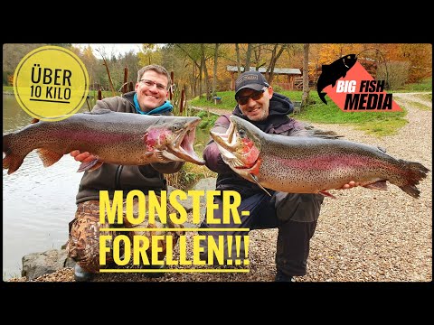 Die Monster im Forellensee - Wir fangen Forellen über 10 Kilo!