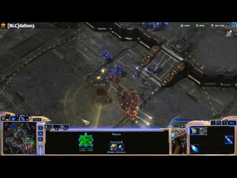 dalton3 Protoss Stream