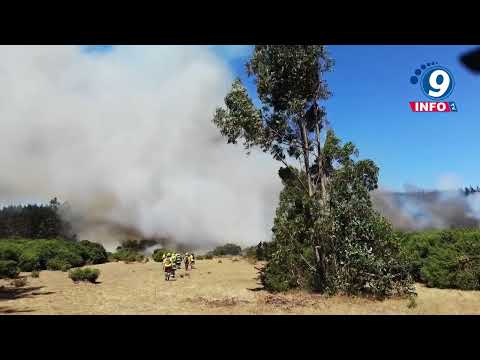 Avanza extinción de incendios forestales en Teúl de González Ortega, Monte Escobedo y Valparai