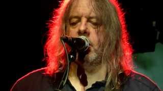 Bevis Frond - Stain on the sun,  Nürnberg, Hirsch 14.5.2013