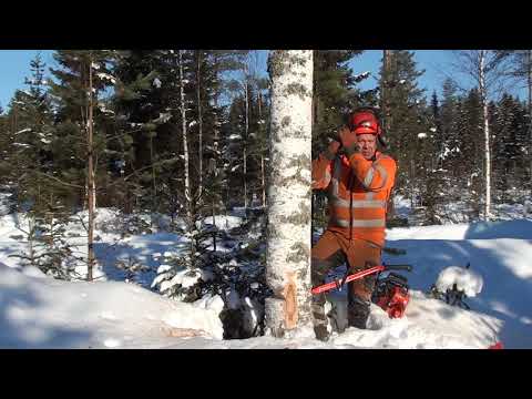 Metsolan Metsäkoulu 21, Eritasosahaus vänkärille.