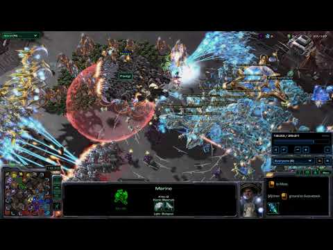 MASSIVE Starcraft Team Battle: Power of Protoss Mothership