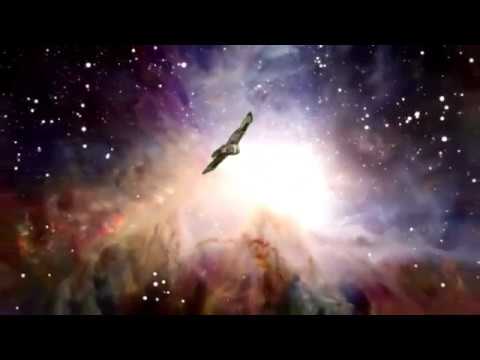 STRAY HAWK Journey