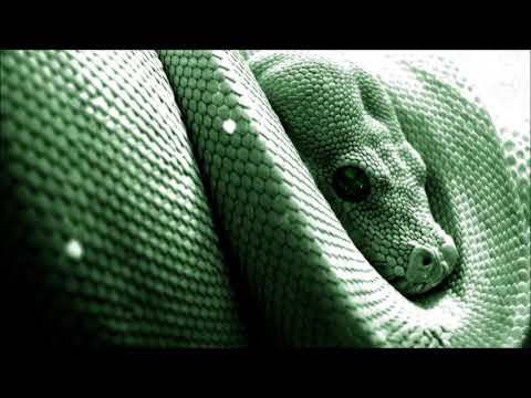 Tiesto - BOOM vs. 400 Paparazzi (I.GOT.U & MESZI SMASH) (Squiro & Kybson MashupGroup)