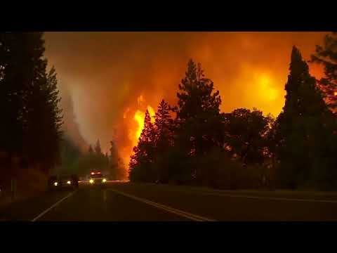 Interface forêt-urbaine
