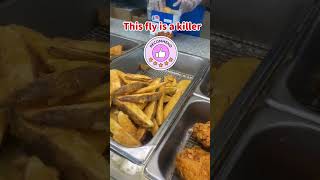 World famous chicken fly at gas stations.#shorts #royalfarm #chicken n