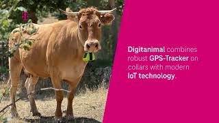 digitanimal: Animal tracking on remote pastures with NB-IoT and Satellite