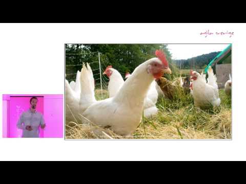 Ett år av mobprogrammering - tips & tricks - Tommy Tynjä