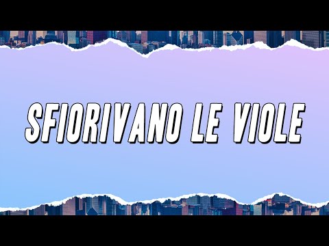 Rino Gaetano - Sfiorivano le viole (Testo)