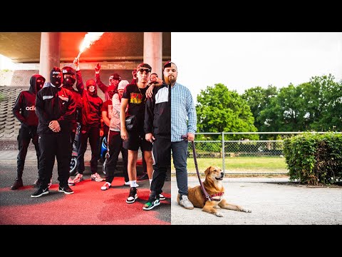 NESS - PARRADOX (FT. ZINO CHAVEZ)