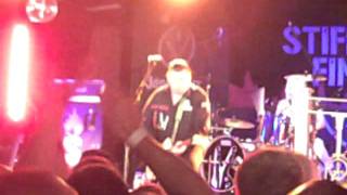 Stiff Little Fingers: Fly the flag