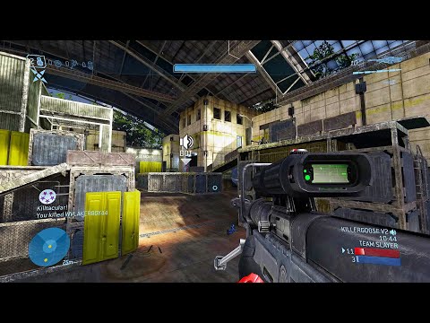 "this person just killed 39 players" 🙈🙈🙈