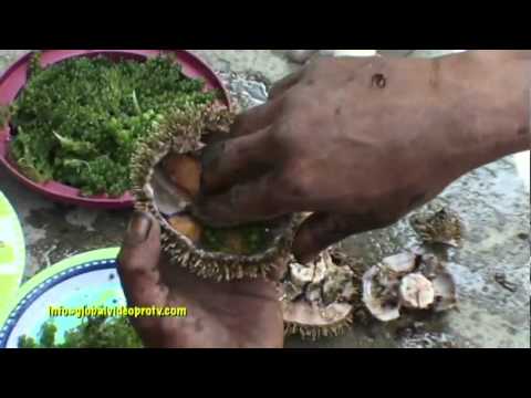 Kung ano ang prutas upang kumain upang mawala ang timbang Sa kabaligtaran manipis na sa panahon ng pagbubuntis
