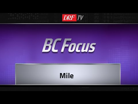 Breeders' Cup Focus - Mile 2018