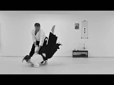 Discovering the Elegance of Aikido: A Mesmerizing Martial Art.