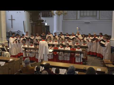 SCGK TV - Choral Evensong | Jongenskoor Dalfsen, zondag 8 februari 2026, 16:00 uur