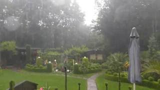 Gartenblick - Unwetter über Mainz