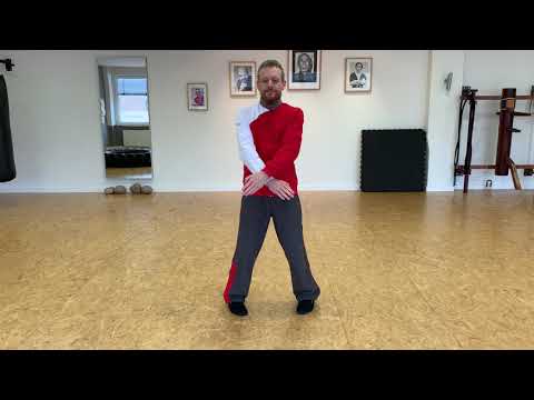 EWTO Norderstedt Online Learning 8. Teil mit Sifu Frank Aichlseder