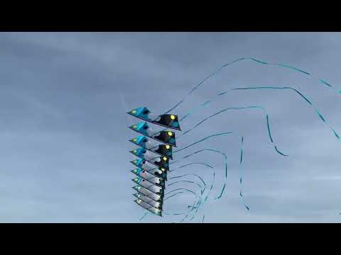 10 Stack Quadline Kite