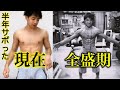 半年間も筋トレをサボったらこうなる【自重トレ生活を再始動します】