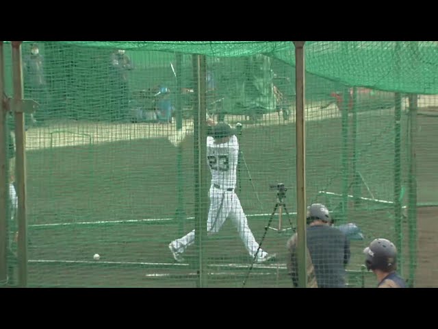 【春季キャンプ】新外国人のバファローズ・シュウィンデルが打撃練習に登場!! 2023年2月19日 オリックス・バファローズ