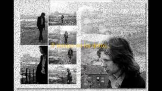 Nick Drake - Time Has Told Me Traduzione Italiana